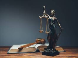 adwokat czy radca prawny